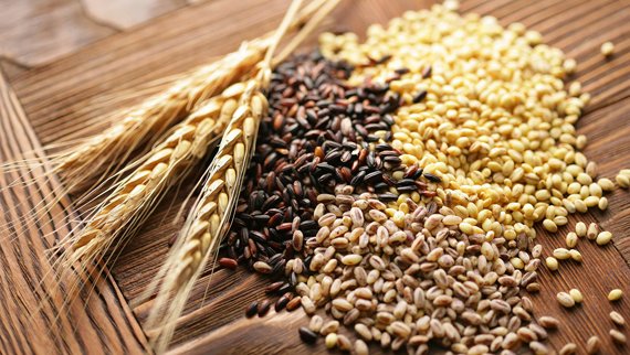 Granos de cereal y espigas de trigo
